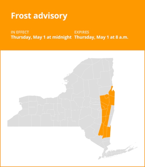 Spring morning in New York with a light layer of frost on vegetation, illustrating a recent weather New York advisory.