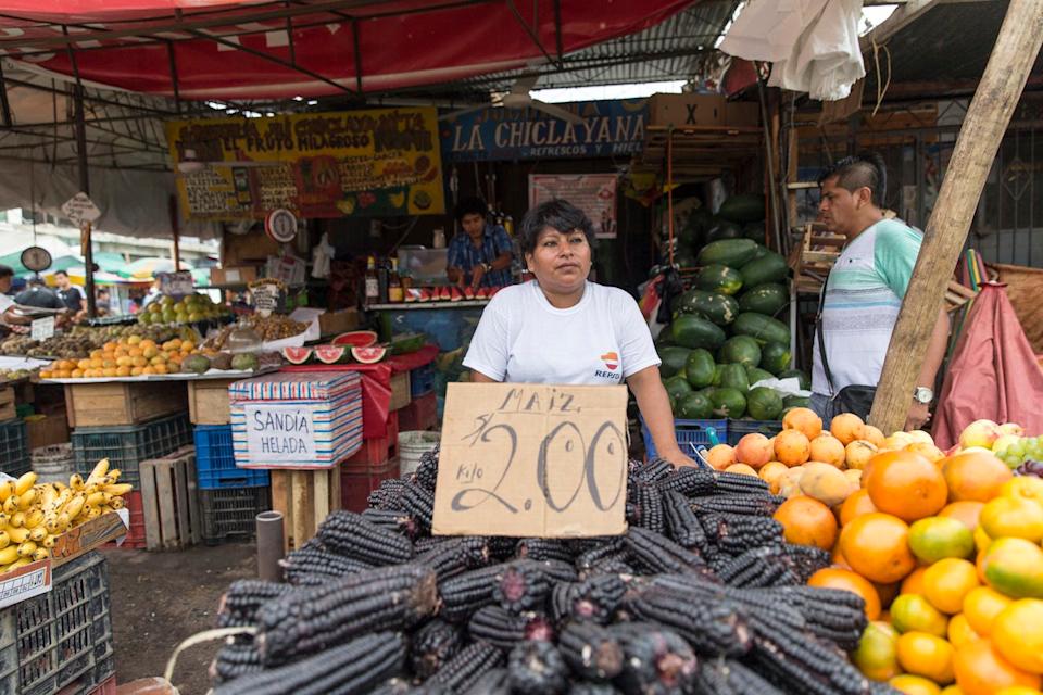 Vibrant sugarcane fields and ancient irrigation canals in Peru