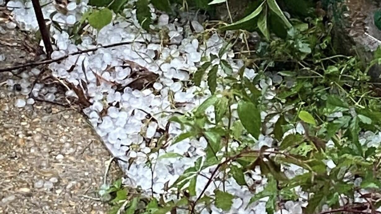 ArkLaTex Severe Weather - KTBS Weather Alerts