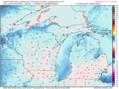 Early morning frost covers a Michigan garden under a freeze warning.