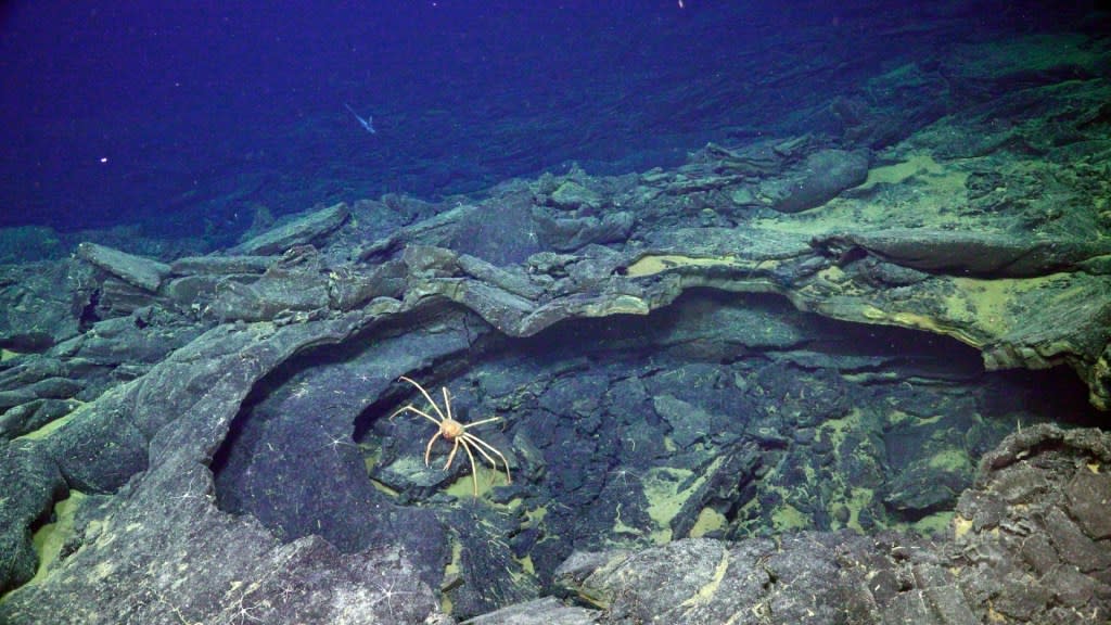 Axial Seamount caldera and hydrothermal vents