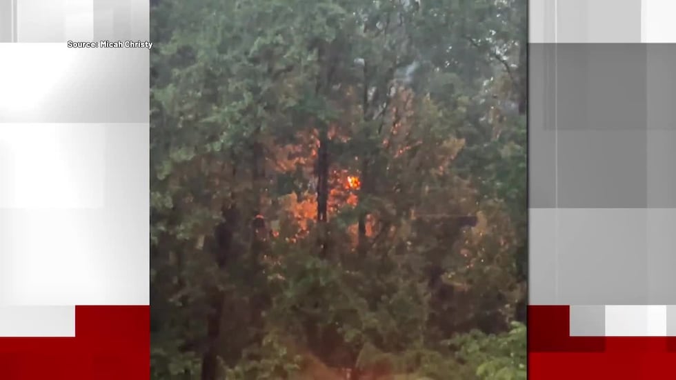 Storm aftermath in Central AL showing downed trees and property damage
